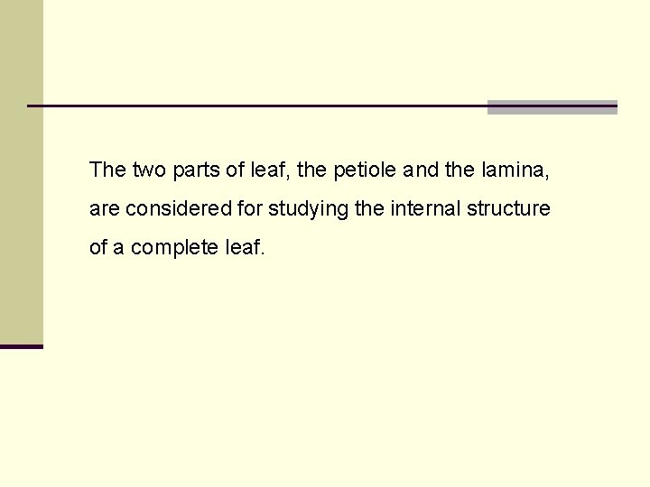 The two parts of leaf, the petiole and the lamina, are considered for studying