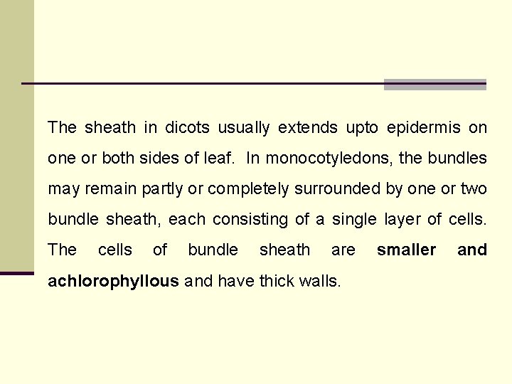 The sheath in dicots usually extends upto epidermis on one or both sides of