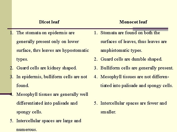 Dicot leaf 1. The stomata on epidermis are Monocot leaf 1. Stomata are found