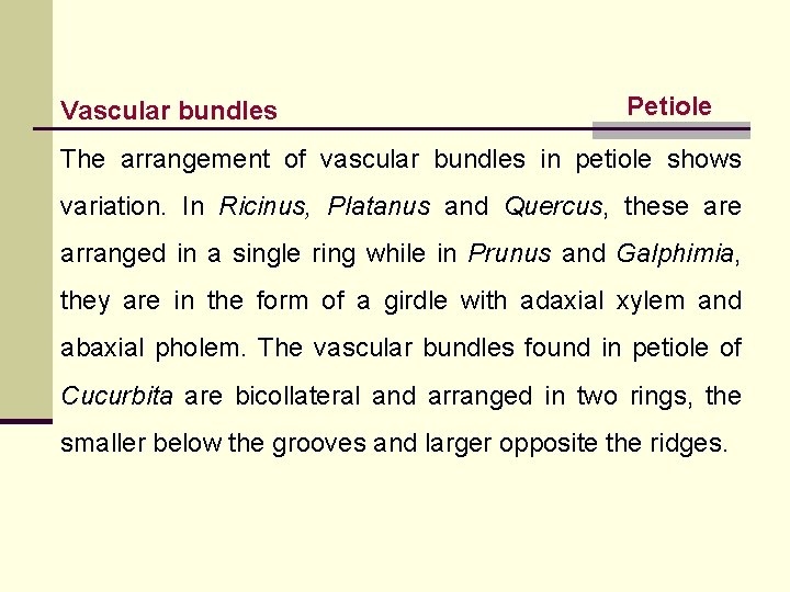 Vascular bundles Petiole The arrangement of vascular bundles in petiole shows variation. In Ricinus,