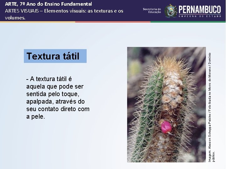 Textura tátil - A textura tátil é aquela que pode ser sentida pelo toque,