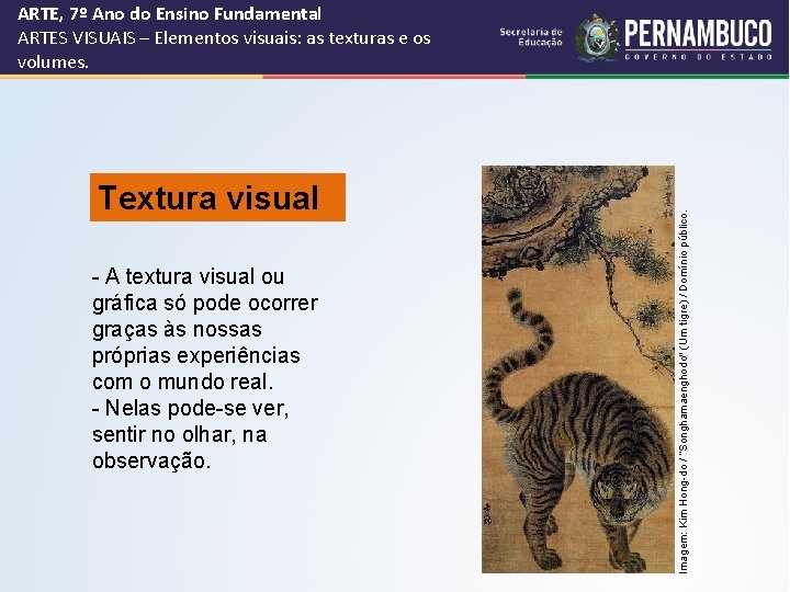 Textura visual - A textura visual ou gráfica só pode ocorrer graças às nossas