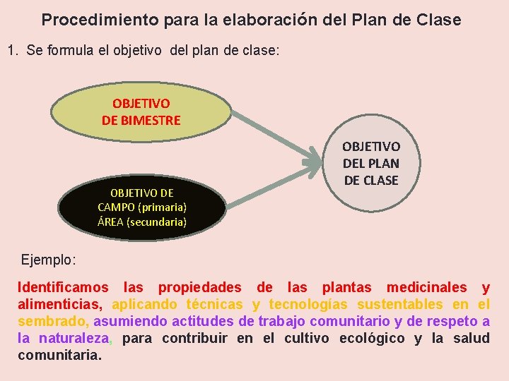 Procedimiento para la elaboración del Plan de Clase 1. Se formula el objetivo del