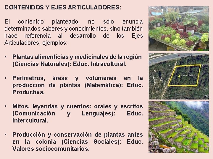 CONTENIDOS Y EJES ARTICULADORES: El contenido planteado, no sólo enuncia determinados saberes y conocimientos,