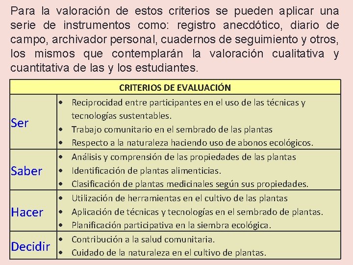 Para la valoración de estos criterios se pueden aplicar una serie de instrumentos como:
