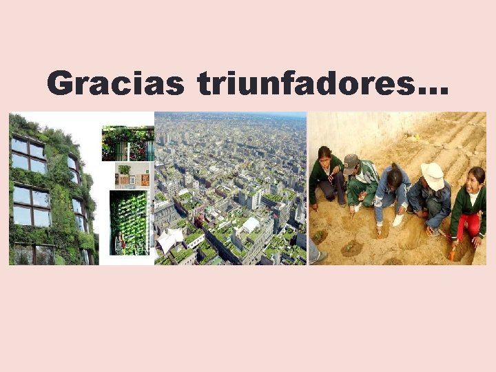 Gracias triunfadores… 