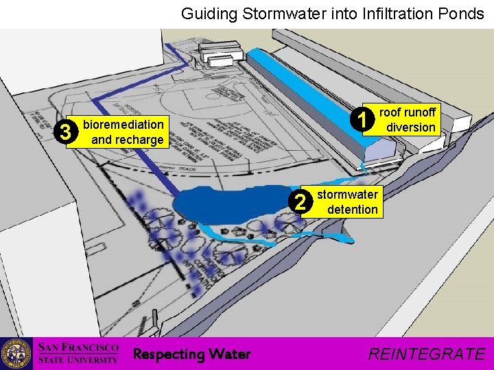 Guiding Stormwater into Infiltration Ponds 3 1 bioremediation and recharge 2 Respecting Water roof