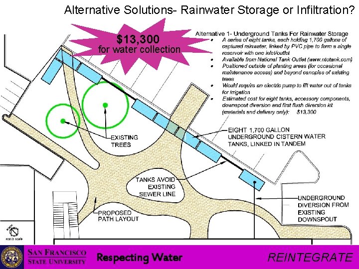 Alternative Solutions- Rainwater Storage or Infiltration? $13, 300 for water collection Respecting Water REINTEGRATE