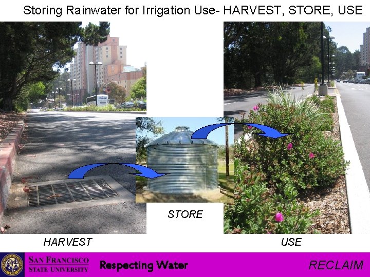 Storing Rainwater for Irrigation Use- HARVEST, STORE, USE STORE HARVEST USE Respecting Water RECLAIM