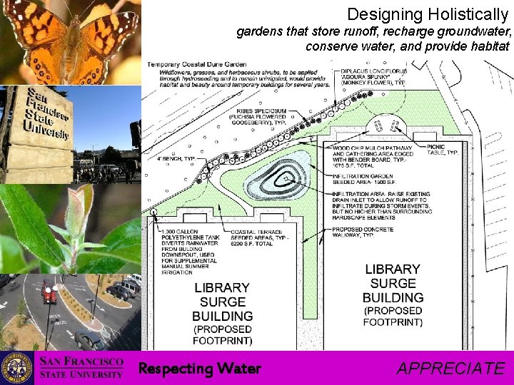 Designing Holistically gardens that store runoff, recharge groundwater, conserve water, and provide habitat Respecting