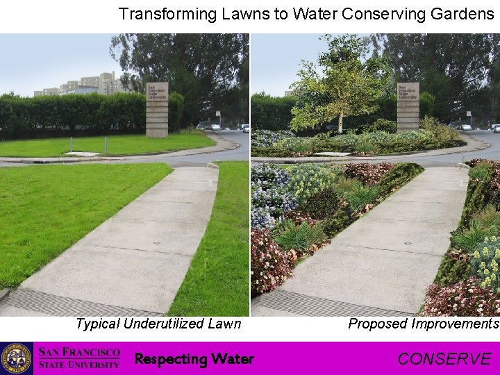 Transforming Lawns to Water Conserving Gardens Typical Underutilized Lawn Respecting Water Proposed Improvements CONSERVE