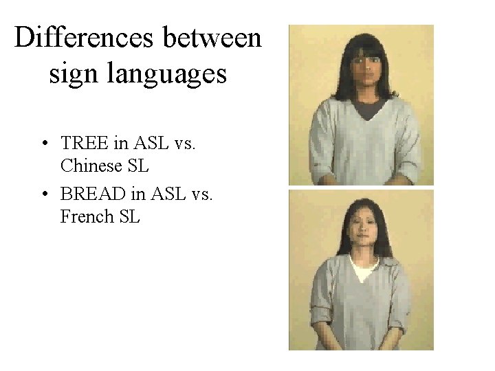 Differences between sign languages • TREE in ASL vs. Chinese SL • BREAD in