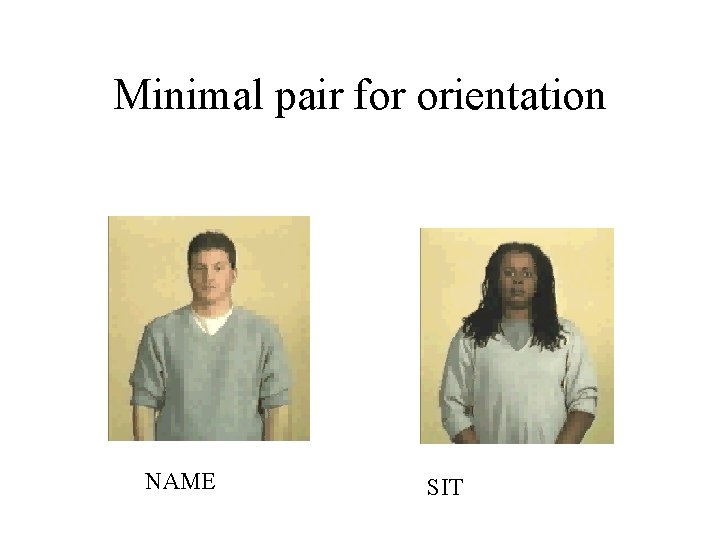 Minimal pair for orientation NAME SIT Minimal pair for orientation NAME SIT