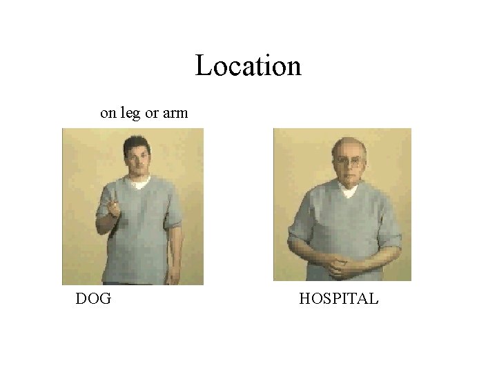 Location on leg or arm DOG HOSPITAL Location on leg or arm DOG HOSPITAL
