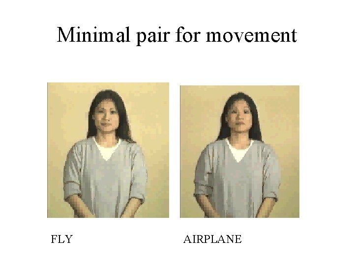 Minimal pair for movement FLY AIRPLANE 