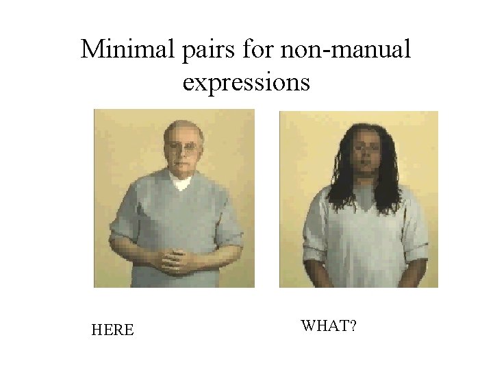 Minimal pairs for non-manual expressions HERE WHAT? 