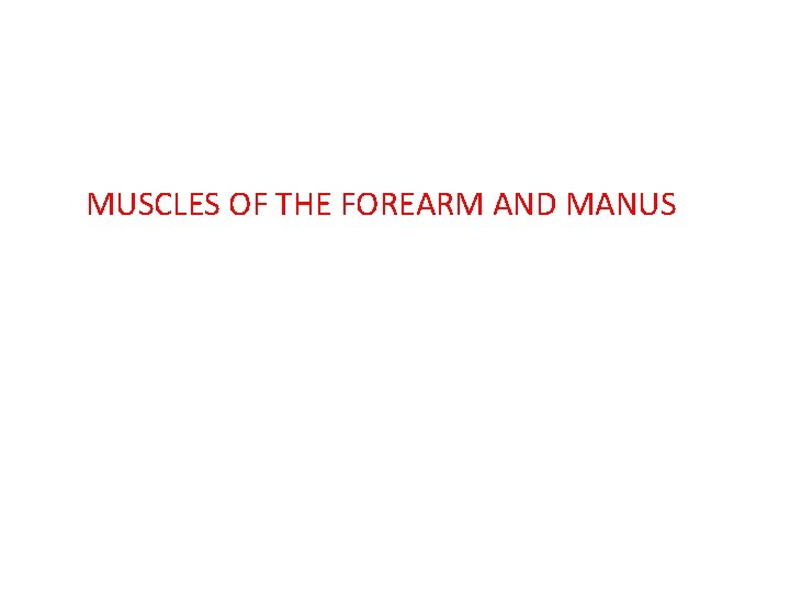 MUSCLES OF THE FOREARM AND MANUS 