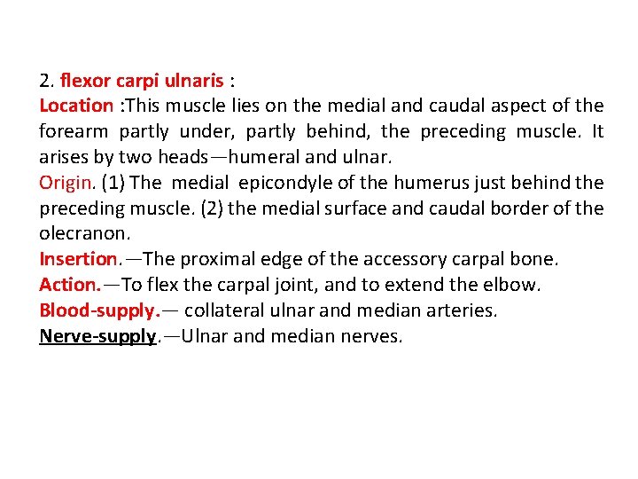 2. flexor carpi ulnaris : Location : This muscle lies on the medial and