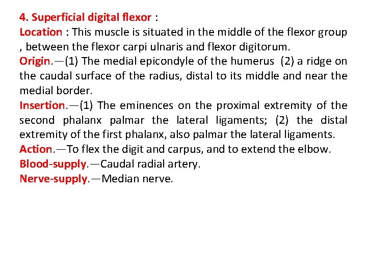 4. Superficial digital flexor : Location : This muscle is situated in the middle