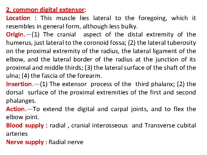 2. common digital extensor: Location : This muscle lies lateral to the foregoing, which