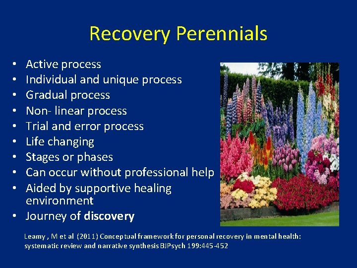 Recovery Perennials Active process Individual and unique process Gradual process Non- linear process Trial Recovery Perennials Active process Individual and unique process Gradual process Non- linear process Trial