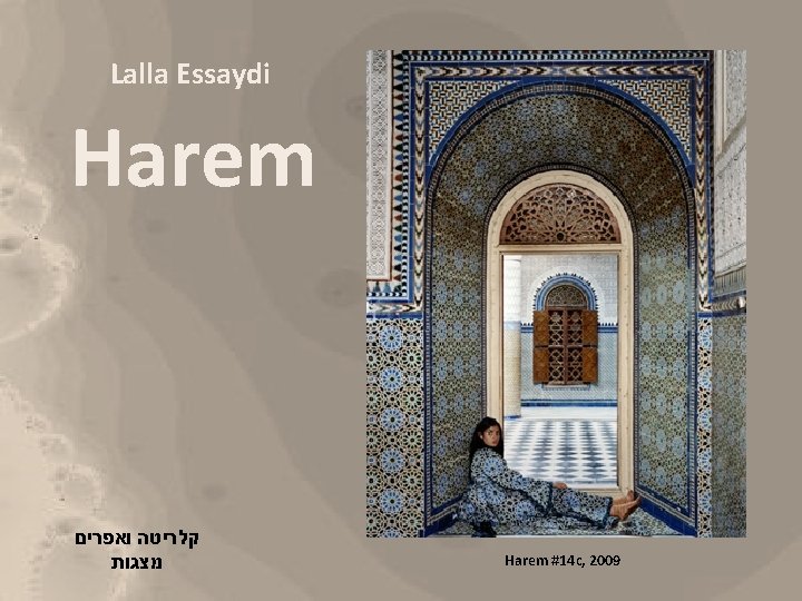 Lalla Essaydi Harem קלריטה ואפרים מצגות Harem #14 c, 2009 