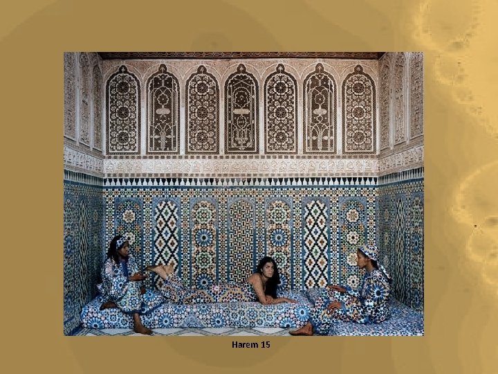 Harem 15 