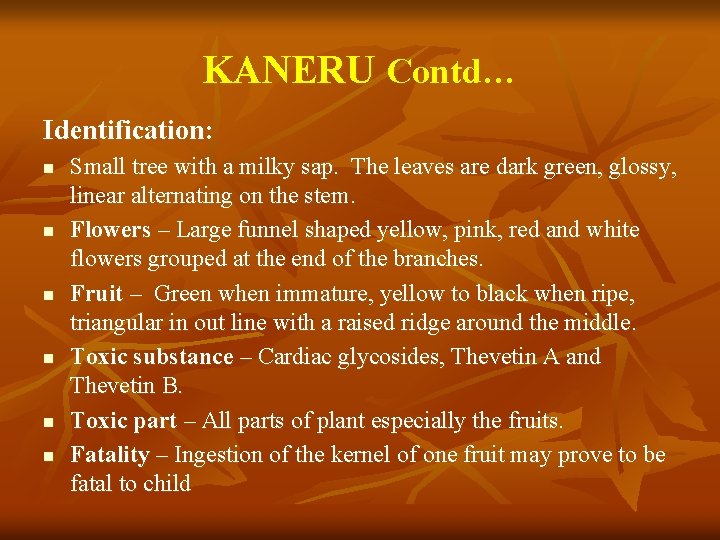 KANERU Contd… Identification: n n n Small tree with a milky sap. The leaves