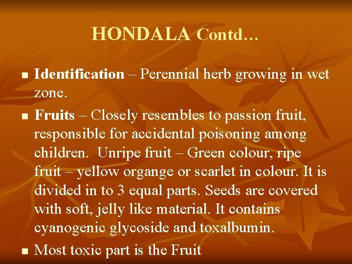 HONDALA Contd… n n n Identification – Perennial herb growing in wet zone. Fruits