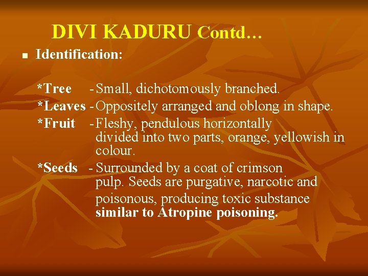 DIVI KADURU Contd… Identification: *Tree - Small, dichotomously branched. *Leaves - Oppositely arranged and