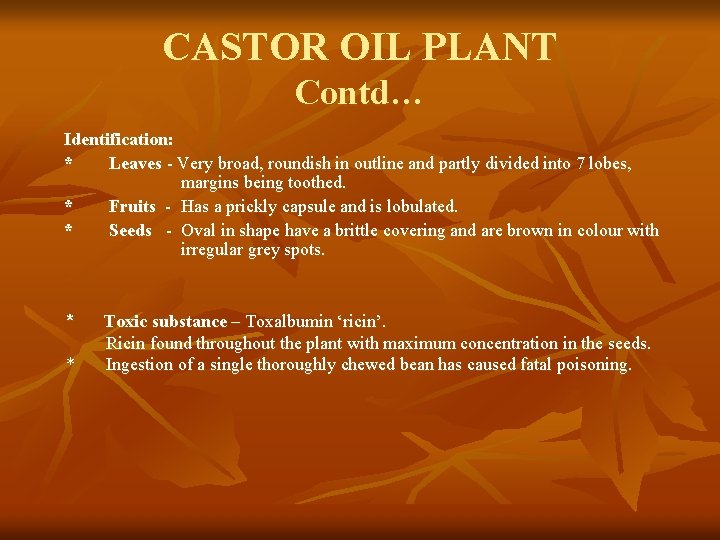 CASTOR OIL PLANT Contd… Identification: * Leaves - Very broad, roundish in outline and