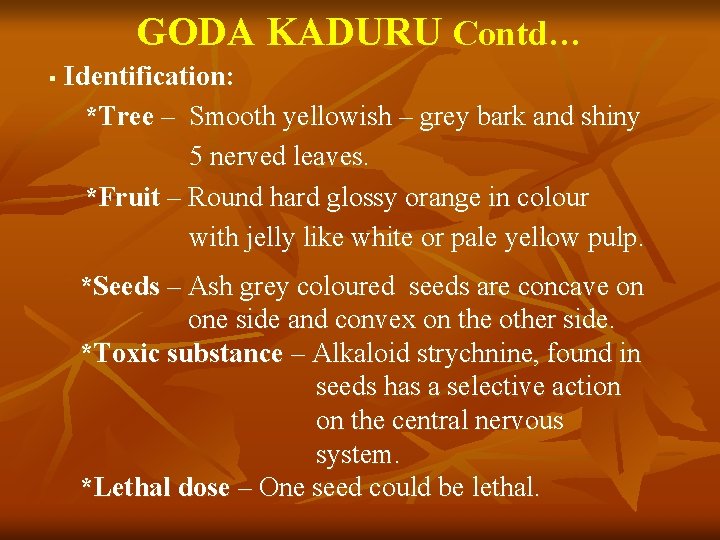 GODA KADURU Contd… Identification: *Tree – Smooth yellowish – grey bark and shiny 5