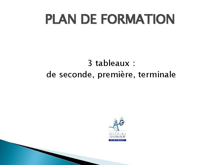 PLAN DE FORMATION 3 tableaux : de seconde, première, terminale 