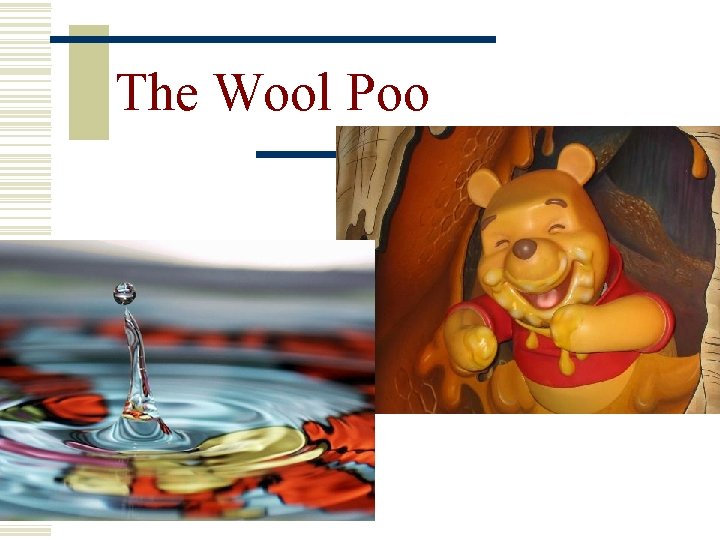 The Wool Poo 