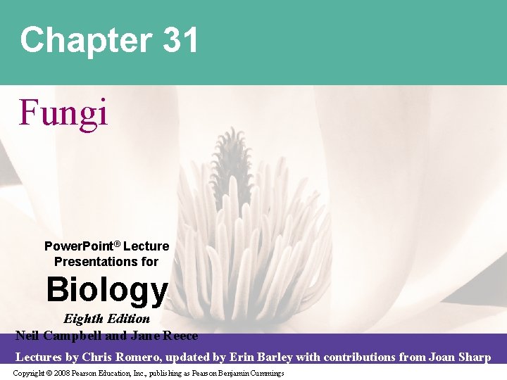 Chapter 31 Fungi Power. Point® Lecture Presentations for Biology Eighth Edition Neil Campbell and Chapter 31 Fungi Power. Point® Lecture Presentations for Biology Eighth Edition Neil Campbell and