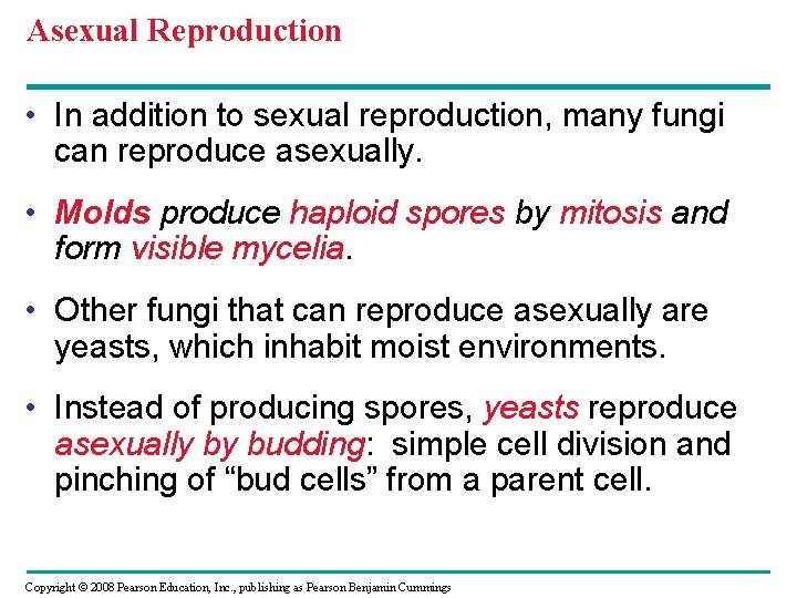 Asexual Reproduction • In addition to sexual reproduction, many fungi can reproduce asexually. • Asexual Reproduction • In addition to sexual reproduction, many fungi can reproduce asexually. •