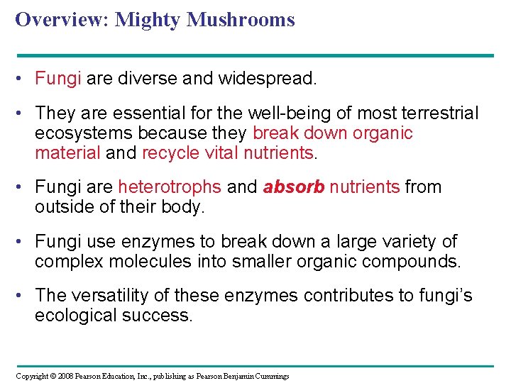 Overview: Mighty Mushrooms • Fungi are diverse and widespread. • They are essential for Overview: Mighty Mushrooms • Fungi are diverse and widespread. • They are essential for