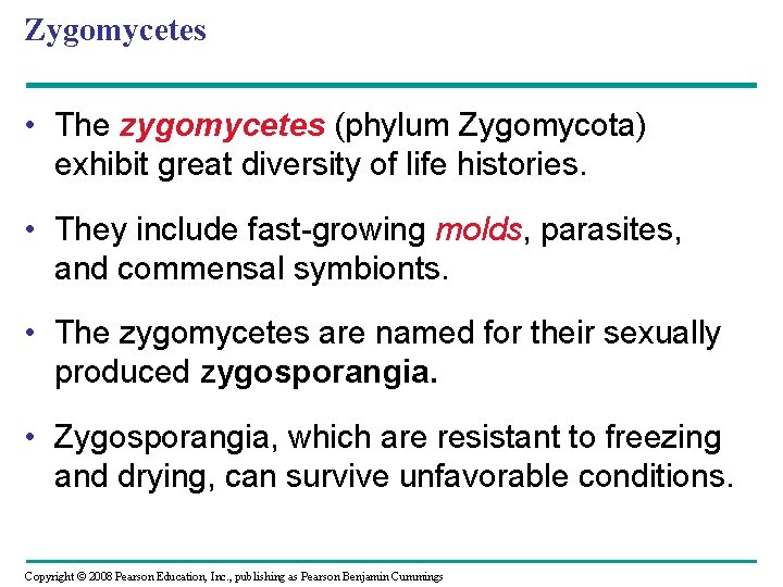 Zygomycetes • The zygomycetes (phylum Zygomycota) exhibit great diversity of life histories. • They Zygomycetes • The zygomycetes (phylum Zygomycota) exhibit great diversity of life histories. • They
