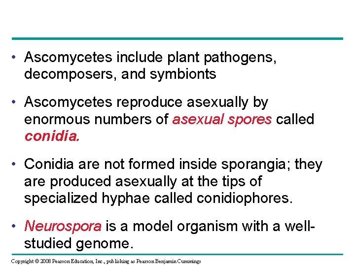 • Ascomycetes include plant pathogens, decomposers, and symbionts • Ascomycetes reproduce asexually by • Ascomycetes include plant pathogens, decomposers, and symbionts • Ascomycetes reproduce asexually by