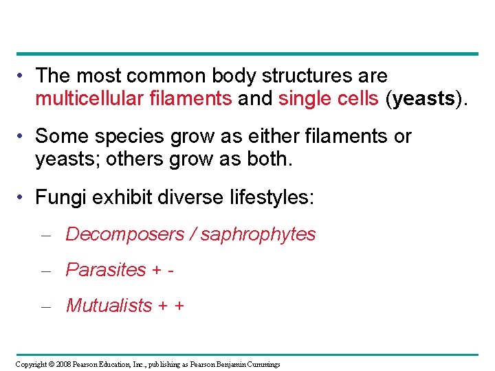 • The most common body structures are multicellular filaments and single cells (yeasts). • The most common body structures are multicellular filaments and single cells (yeasts).