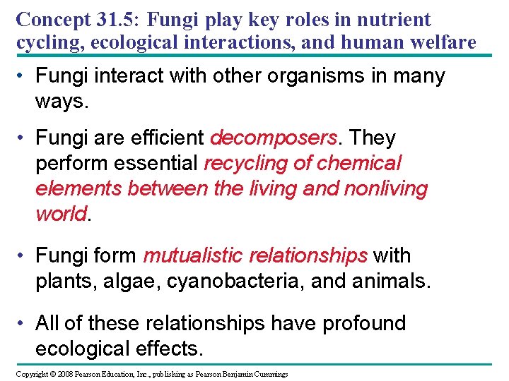 Concept 31. 5: Fungi play key roles in nutrient cycling, ecological interactions, and human Concept 31. 5: Fungi play key roles in nutrient cycling, ecological interactions, and human
