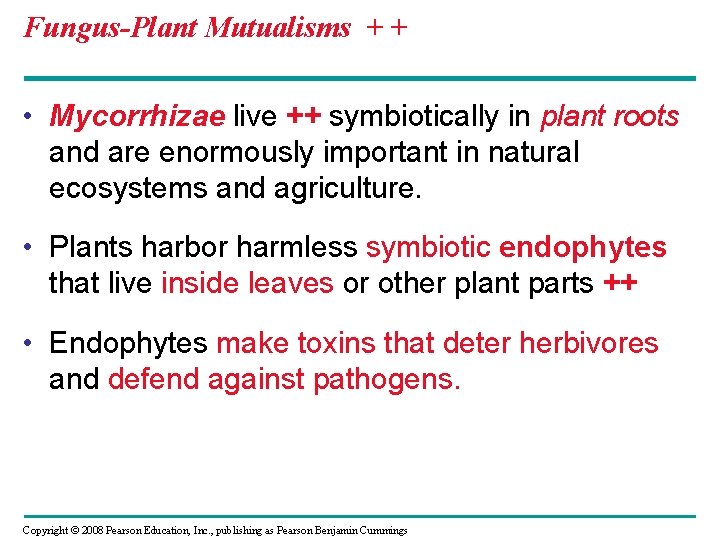 Fungus-Plant Mutualisms + + • Mycorrhizae live ++ symbiotically in plant roots and are Fungus-Plant Mutualisms + + • Mycorrhizae live ++ symbiotically in plant roots and are