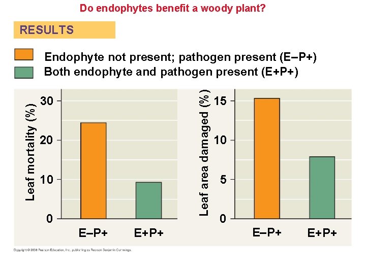 Do endophytes benefit a woody plant? RESULTS Leaf area damaged (%) Leaf mortality (%) Do endophytes benefit a woody plant? RESULTS Leaf area damaged (%) Leaf mortality (%)