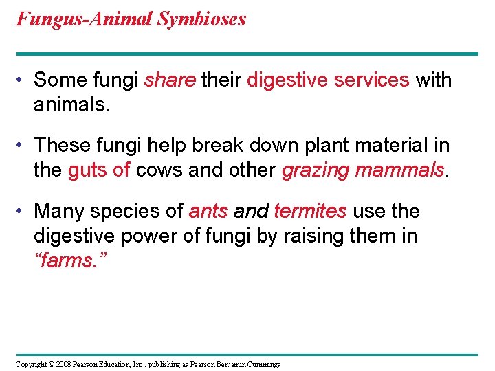 Fungus-Animal Symbioses • Some fungi share their digestive services with animals. • These fungi Fungus-Animal Symbioses • Some fungi share their digestive services with animals. • These fungi