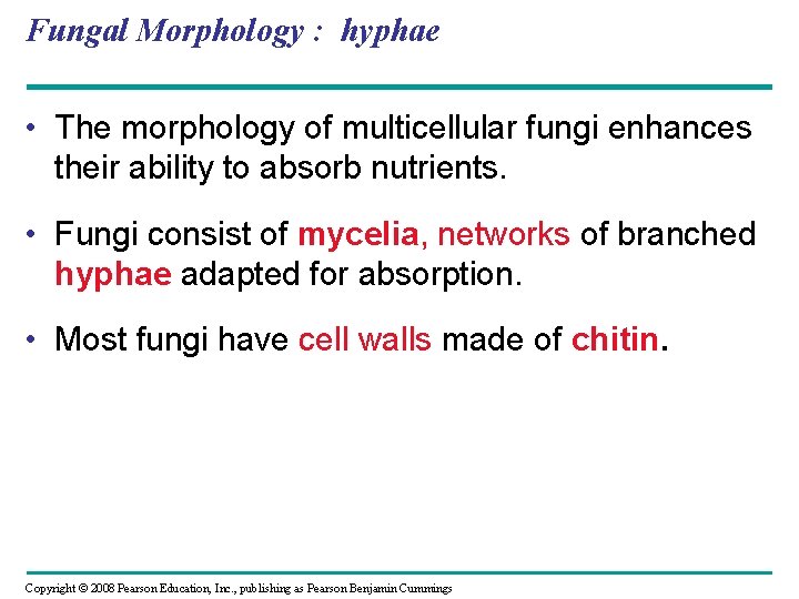 Fungal Morphology : hyphae • The morphology of multicellular fungi enhances their ability to Fungal Morphology : hyphae • The morphology of multicellular fungi enhances their ability to