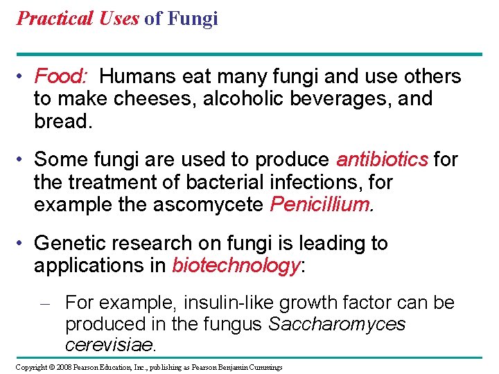 Practical Uses of Fungi • Food: Humans eat many fungi and use others to Practical Uses of Fungi • Food: Humans eat many fungi and use others to