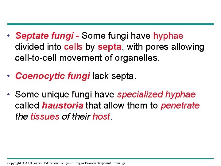 • Septate fungi - Some fungi have hyphae divided into cells by septa, • Septate fungi - Some fungi have hyphae divided into cells by septa,