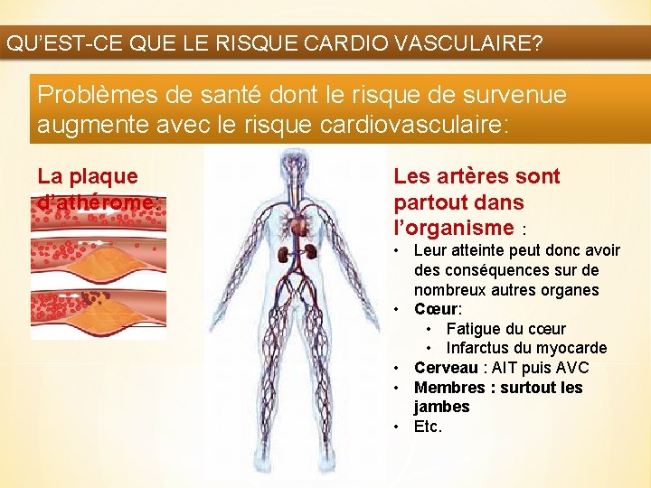 QU’EST-CE QUE LE RISQUE CARDIO VASCULAIRE? Problèmes de santé dont le risque de survenue