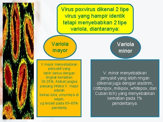 Virus poxvirus dikenal 2 tipe virus yang hampir identik tetapi menyebabkan 2 tipe variola,