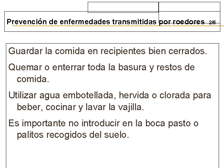 Prevención de enfermedades transmitidas por roedores 2/6 Guardar la comida en recipientes bien cerrados.